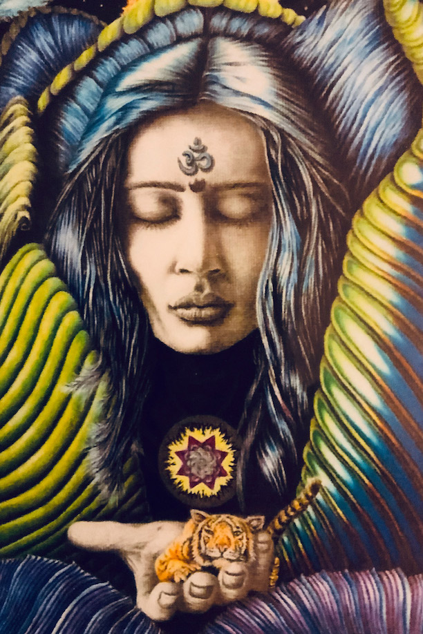 Original art by David R Grove. Pencil drawing of a woman with a color surround of imagined shapes. She is holding a tiny tiger.